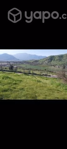5.490mts. Terreno en olivar- Coinco - Imagen 8