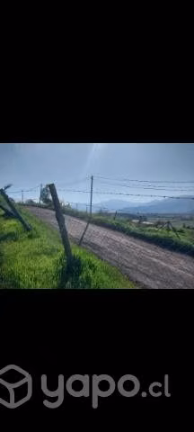 5.490mts. Terreno en olivar- Coinco - Imagen 3