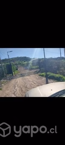 5.490mts. Terreno en olivar- Coinco - Imagen 4