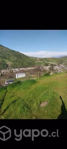 5.490mts. Terreno en olivar- Coinco - Imagen 13