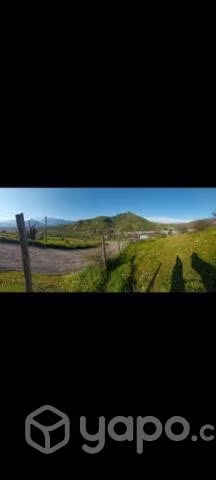 5.490mts. Terreno en olivar- Coinco - Imagen 12