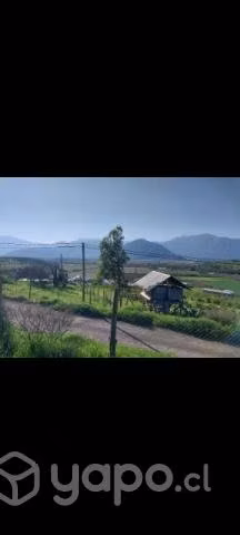 5.490mts. Terreno en olivar- Coinco - Imagen 7