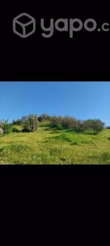 5.490mts. Terreno en olivar- Coinco - Imagen 9