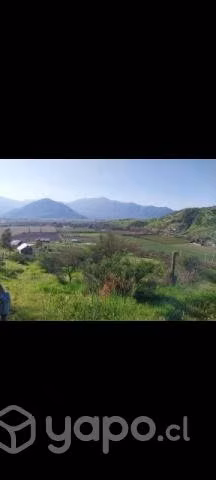 5.490mts. Terreno en olivar- Coinco - Imagen 5