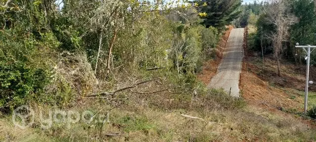 Parcela a 20 minutos del centro de Valdivia - Imagen 4