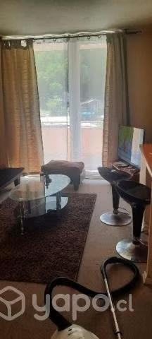 Arriendo departamento frente al mar