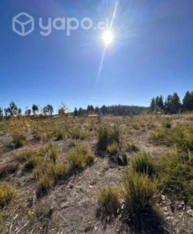 Parcela 5.000mt² - Imagen 2