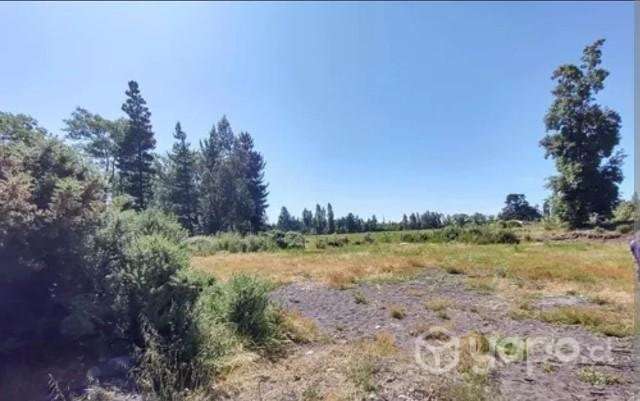 Parcela 5.000mt² - Imagen 3