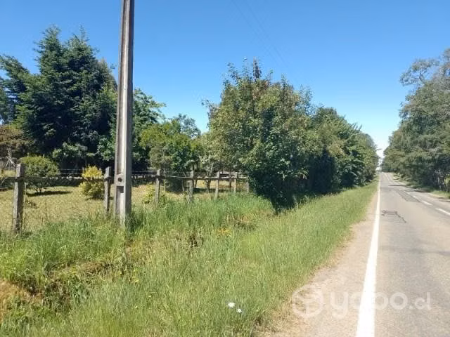 Se vende 1/2 hectárea