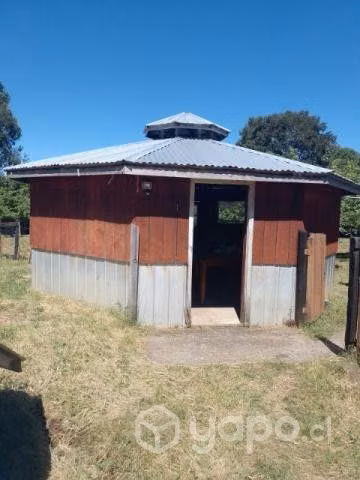 Se vende 1/2 hectárea