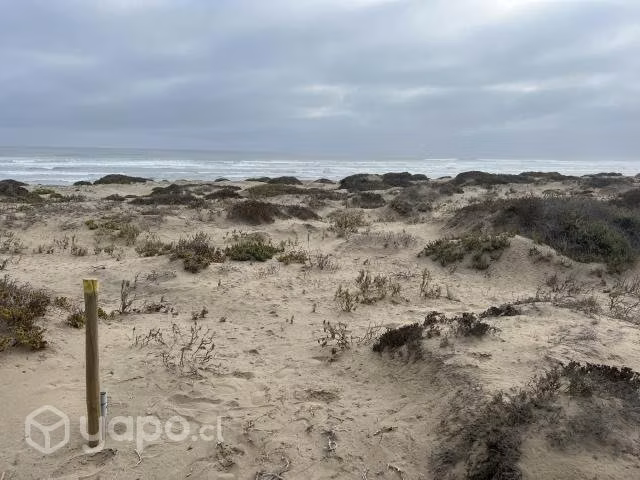 Terreno 2° línea entre Los Choros y Punta Choros