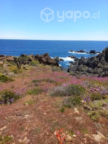 Particular vende parcela orilla mar por viaje - Imagen 2