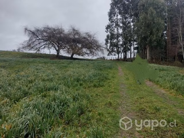SE VENDE Parcela, 2 Los Chilcos, Comuna de La Unión