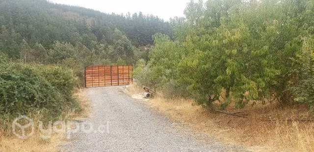 Parcela con casa en Curepto