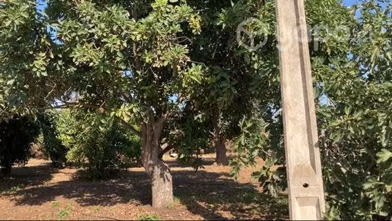 PARCELA en LIMACHE / 5150 m2
