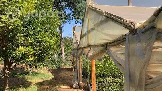 PARCELA en LIMACHE / 5150 m2