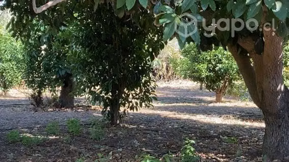 PARCELA en LIMACHE / 5150 m2