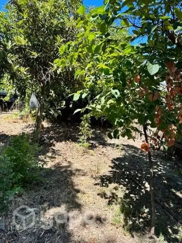 Vendo casa con sitio en San Carlos