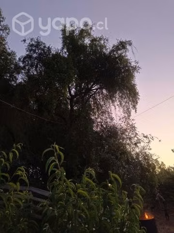 Vendo terreno de 5000mts2