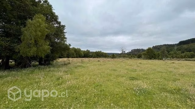 Se venden 3 parcelas camino a Paillaco - Imagen 2