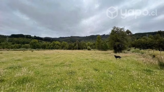 Se venden 3 parcelas camino a Paillaco - Imagen 5