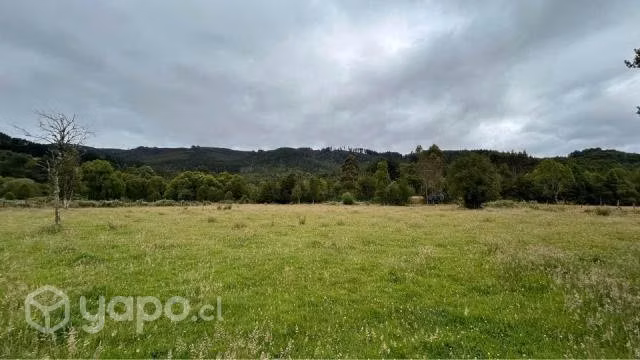 Se venden 3 parcelas camino a Paillaco - Imagen 6