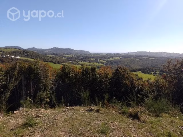 Terreno 1 hectárea