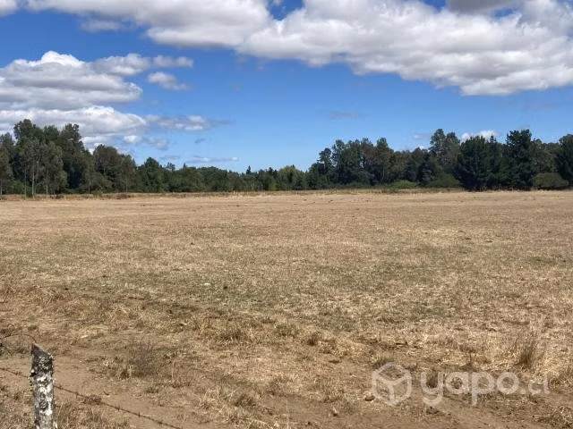 Vendo campo 4.09 hectáreas. - Imagen 3