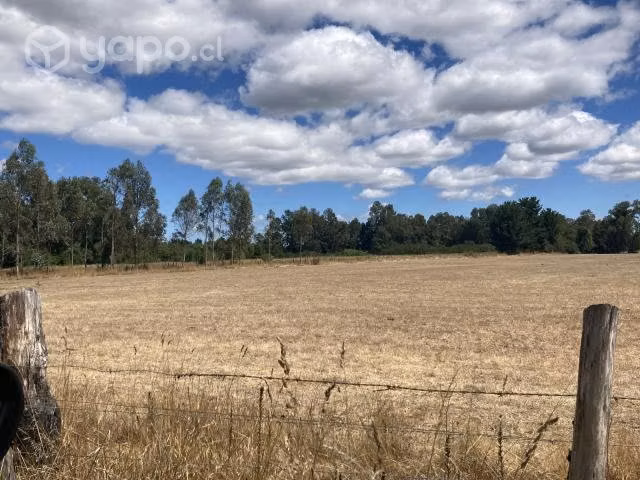 Vendo campo 4.09 hectáreas.