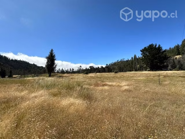 Vendo terreno de tres hectáreas