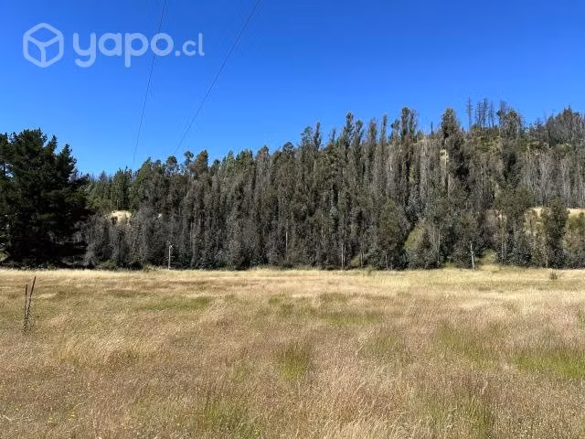 Vendo terreno de tres hectáreas
