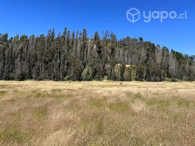 Vendo terreno de tres hectáreas