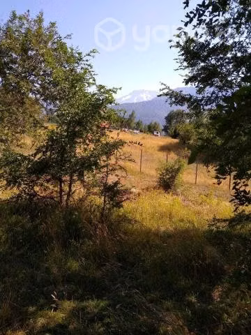 Vendo parcela 5000 m2 en Malalcahuello