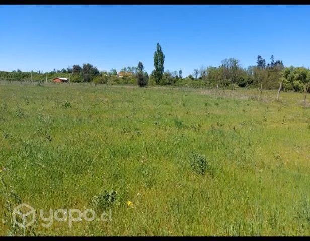 Parcela 5000 mts - Imagen 5