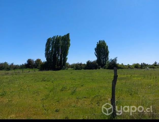 Parcela 5000 mts - Imagen 6