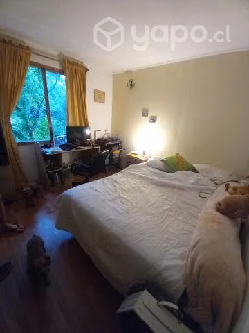 Parcela con casa en Paine - Imagen 13