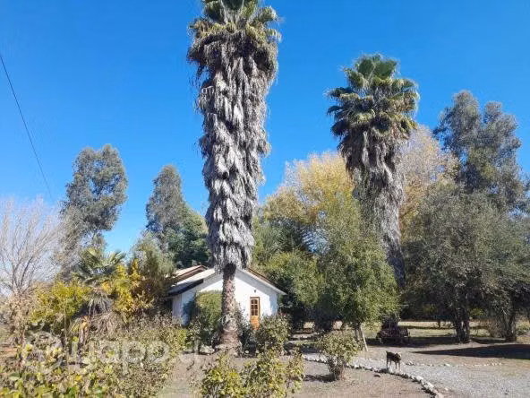 Parcela con casa en Paine - Imagen 3