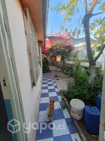 Se vende casa con terreno - Imagen 2