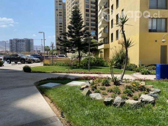 Espectacular Departamento Bordemar , Ed. Terra - Imagen 2