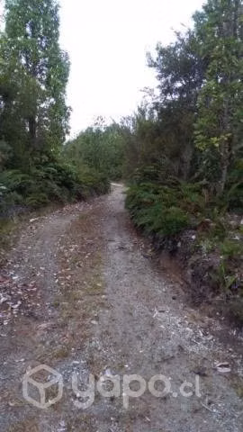 Venta de 2 casas en parcela - Imagen 12
