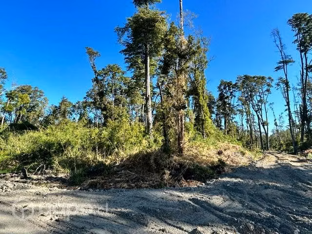 Hermosa Parcela en comuna de Puyehue - Imagen 4