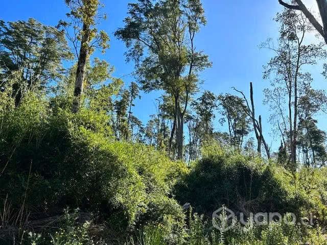 Hermosa Parcela en comuna de Puyehue - Imagen 2