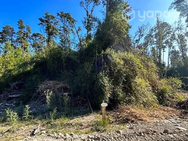 Hermosa Parcela en comuna de Puyehue