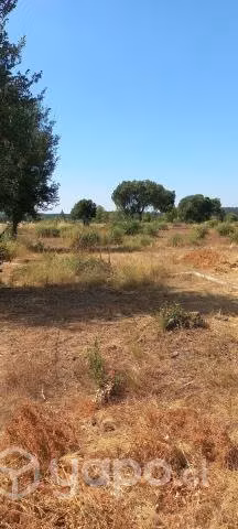 Arriendo parcela en Bajos de Huanutil