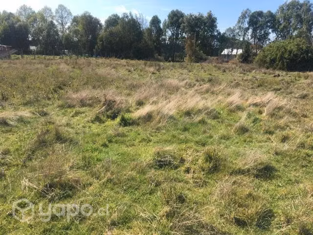 Parcelas en Asque 5.000m² a minutos de sanjose