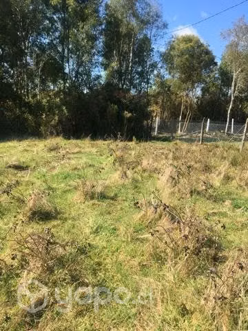 Parcelas en Asque 5.000m² a minutos de sanjose