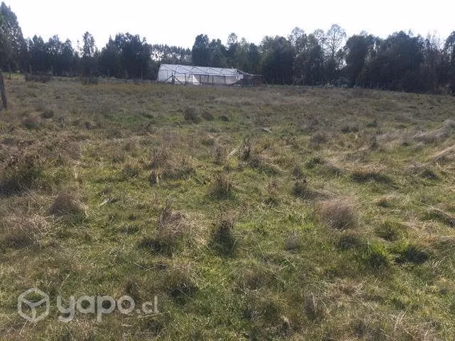 Parcelas en Asque 5.000m² a minutos de sanjose