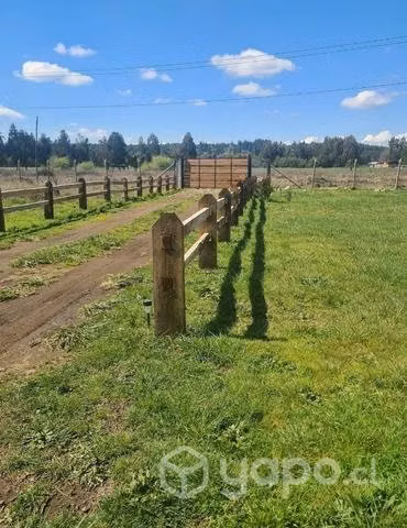 Se vende parcela de 1/2 héctarea con casa de 87 m2 - Imagen 2