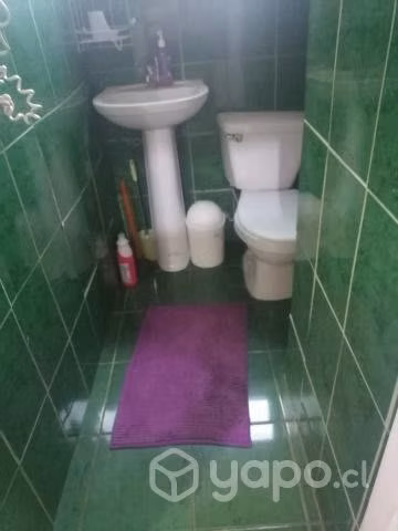 Pieza a señorita estudiante