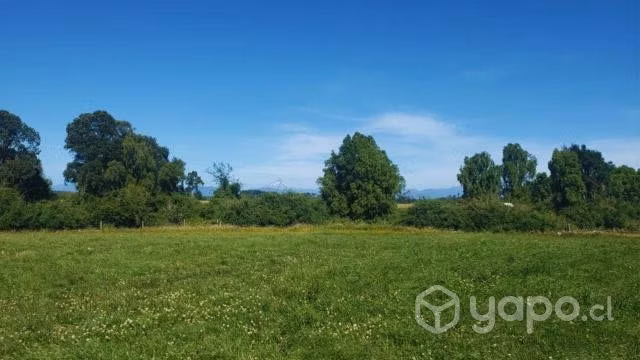 Parcela Santa Inés, Puerto Octay 5000m2 - Imagen 3